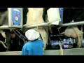 GREENFIELDS MILK 100 REAL FRESH MILK HONESTLY AWESOME