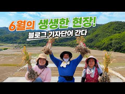 6월의 생생한 현장! 블로그 기자단이 간다~