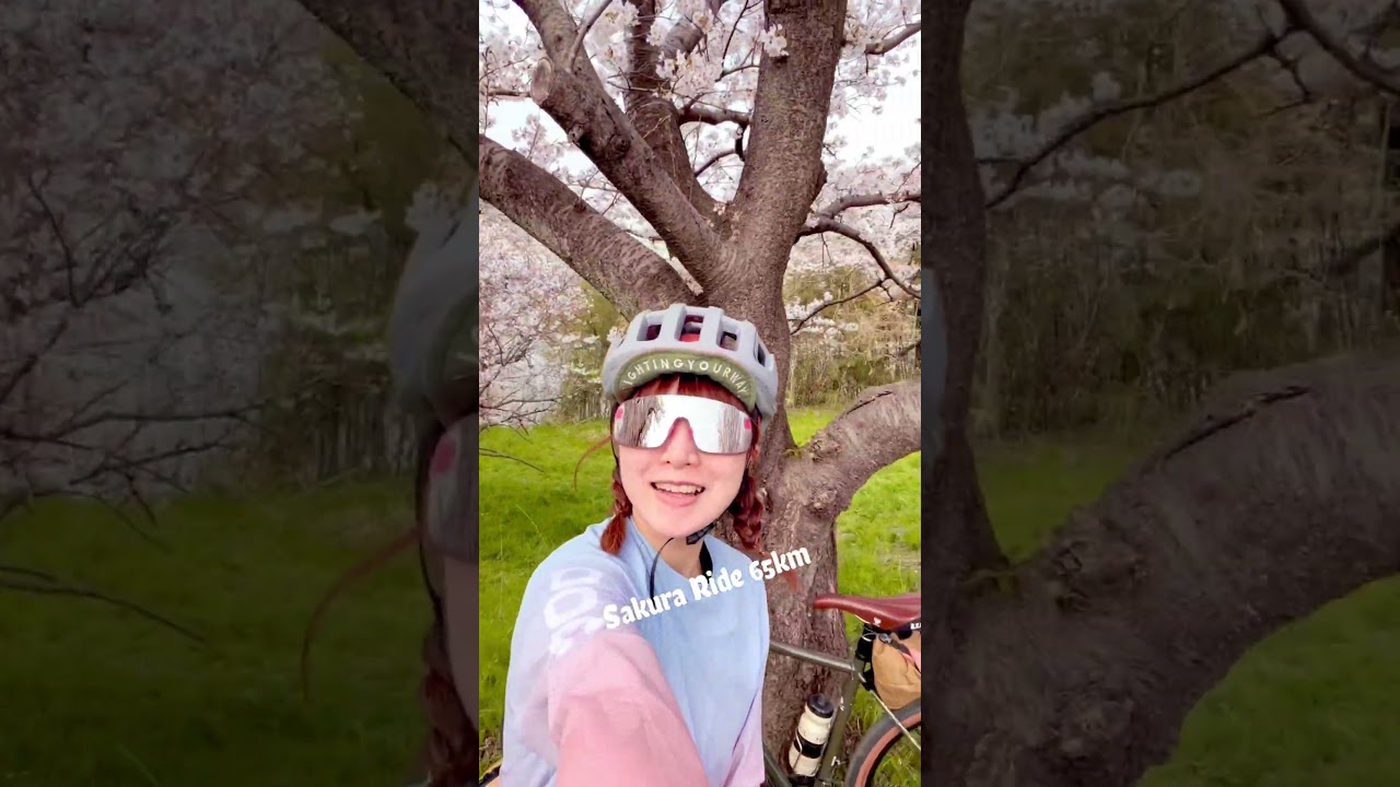 Sakura Ride 65km🌸 #cycling #sakura #japan