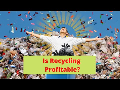 How Much Money Do Plastic Recyclers Make?