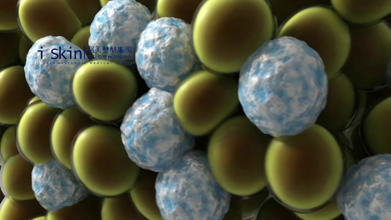 iskin盧靜怡皮膚專科診所【酷塑冷凍減脂】脂肪結晶化示意動畫 CoolSculpting Process Animation