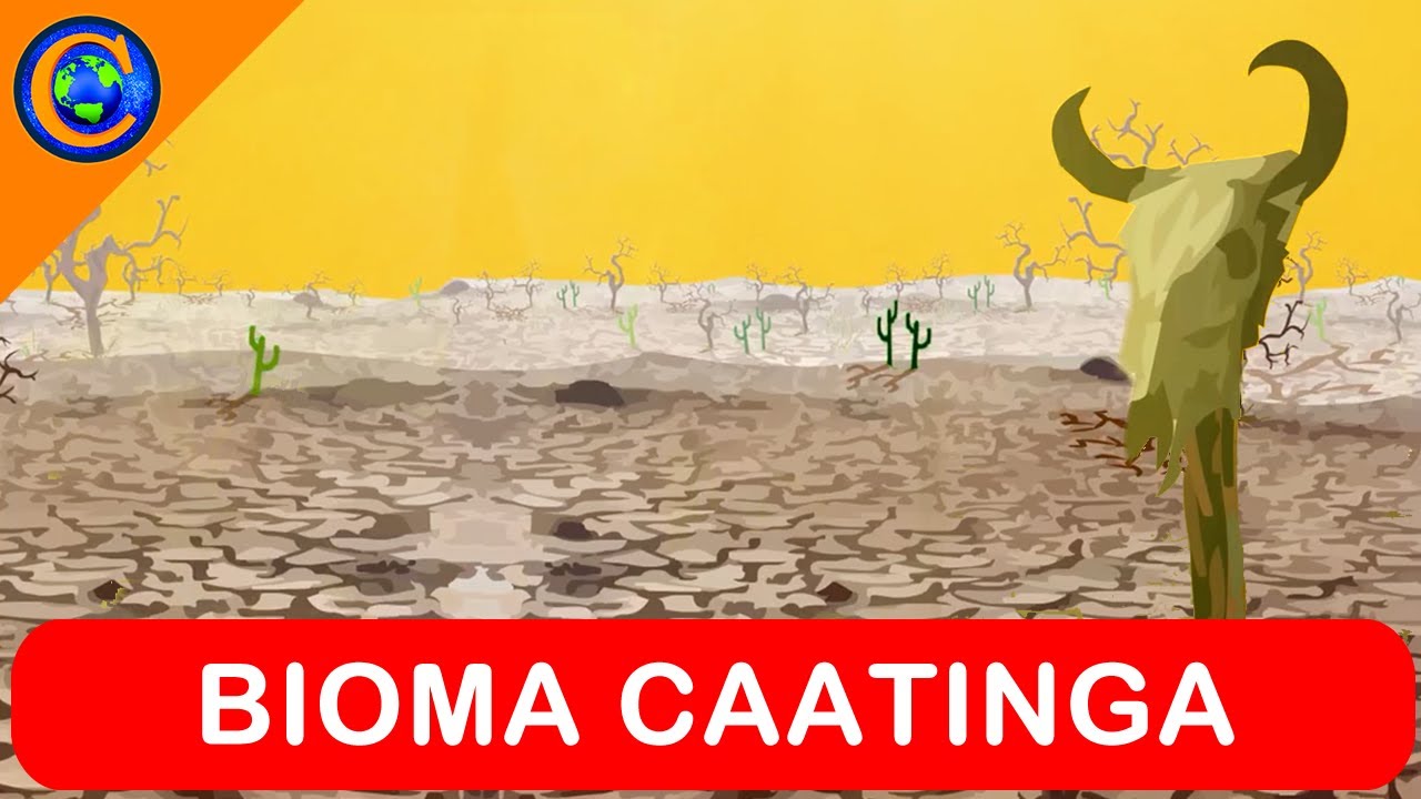 BIOMA CAATINGA
