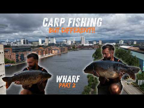 Urban Carp Fishing: Mike Bridges Returns to The Wharf!