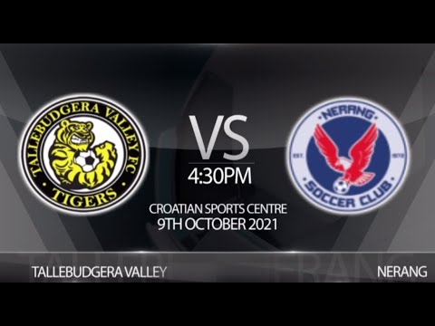 Coast League Grand Final - Tallebudgera Tigers vs Nerang Eagles (4-3)