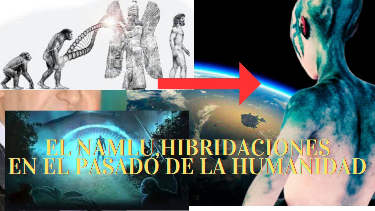 EL PRIMER HUMANO,EL NAMLU,HIBRIDACIONES EXTRATERRESTRES EN EL PASADO