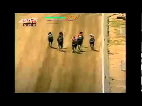 TOMA DE FRENTE DE LA 3 CARRERA DOMINGO 12 DE ABRIL DEL 2015