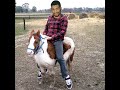 3Bit Pony Ride