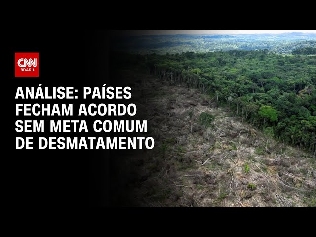 Análise: Países fecham acordo sem meta comum de desmatamento | WW