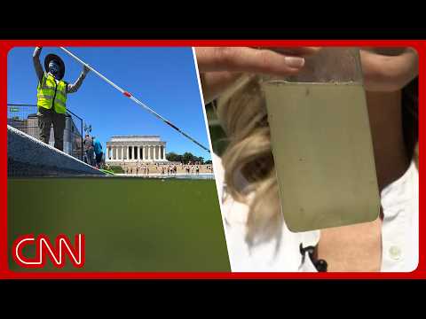 內政部：倒影池「清澈見底」！ (Interior dept says Reflecting Pool is 'crystal clear')