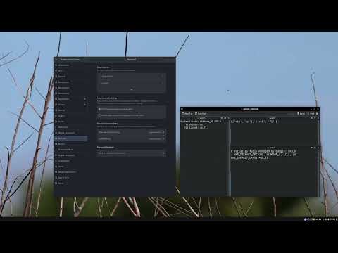 Reproducir video