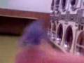 DUST BUNNIES