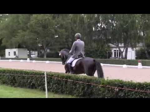 Gandhi Quali Bundeschampionat in Hannover 2015