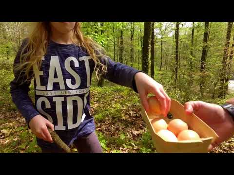 Teaser Bec'h d'ar vioù Skol Diwan ar Faou