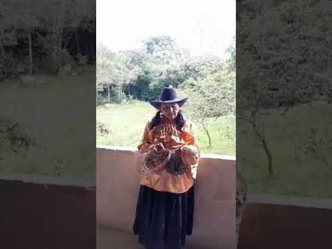 MARIA DEL CARMEN SOTABAN  CELY        LOS TEJIDOS DE LA ABUELA     PAYA   BOYACÁ