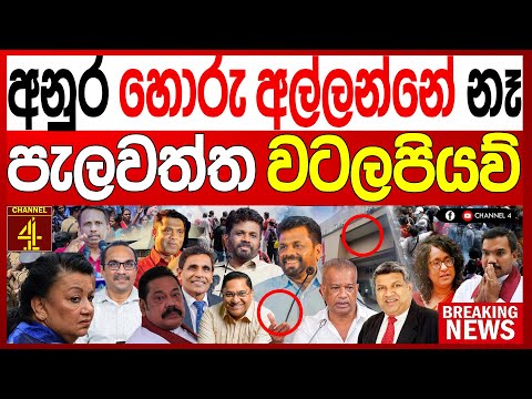 අනුර හොරු අල්ලන්නේ නෑ බොරුවක් කරන්නේ බැහැපියව් එලියට වටලමු පැලවත්ත මේක අතාරින්න එපා BREAKING NEWS