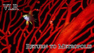 Drexciya 2 Hour Mix - Return To Bubble Metropolis