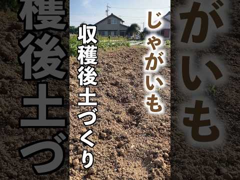 ジャガイモを豊かに収穫するには、いつ肥料を施用すればよいでしょうか?どのような肥料を使用すればよいでしょうか？  庭園