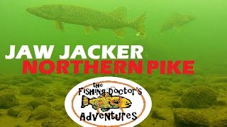 preview picture of video 'Shocking Underwater Jaw Jacker Northern Pike Friday the 13th'