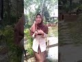 Lagu Anak Dengan Tema Binatang Air Udang