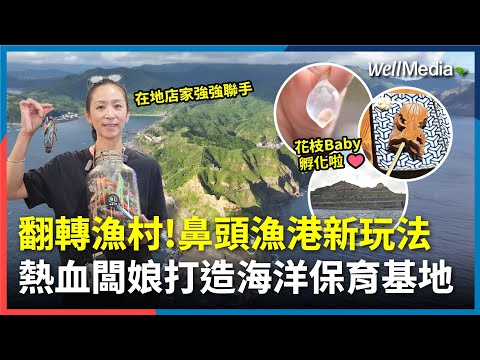 翻轉漁村！鼻頭漁港新玩法！海上一睹軍艦岩 潛水咖啡廳打造海洋保育基地 【WellTalk】