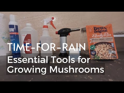 The Tools You Need for Growing Mushrooms | A Beginner's Guide to Mushroom Growing