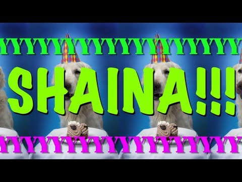 HAPPY BIRTHDAY SHAINA! - EPIC Happy Birthday Song