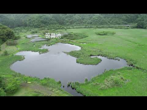 ラムサール条約に登録されている『中池見湿地』の現地調査を行いました【生物資源学研究科：地域生態学】