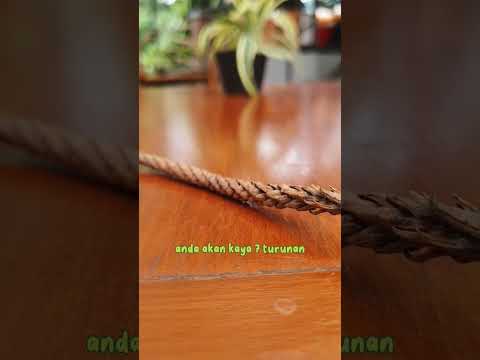 nasib-keturunan-ke-8