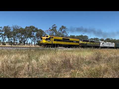 GM22, GM27, CLF3 and RL302