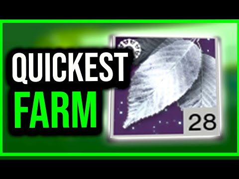 SILVER LEAVES EASY FARM GUIDE | Destiny 2 Solstice Event 2022