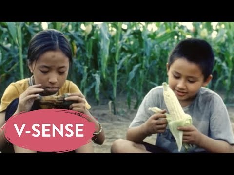 V-Sense – Top Vietnamese Movies and Inner Peace Sounds