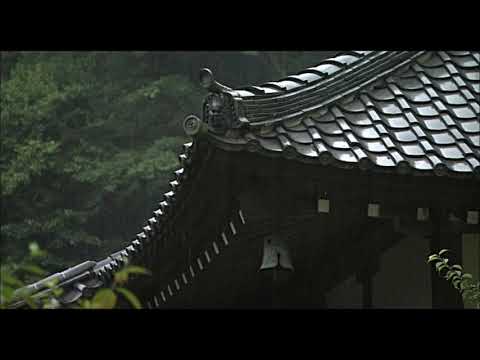 04. sincerityisdead - near your home