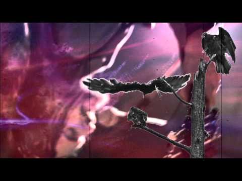 BEELZEFUZZ - Lotus Jam (2013)