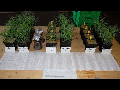 Best4Soil: Kompost - eelised ja puudused