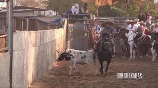 Coleadero en Bakersfield, Kern 2017.