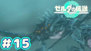 ＃１５　極寒の根源【ゼルダの伝説～ティアーズ オブ ザ キングダム～】