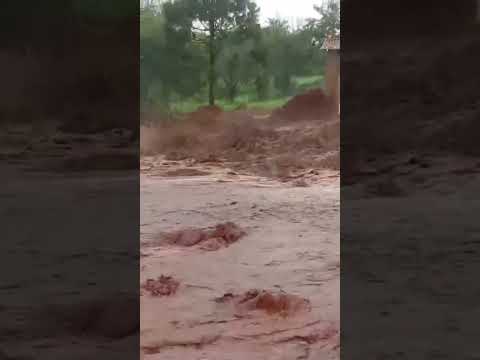 Rodovia entre:Campina da Lagoa/PR e Altamira/PR13/10/2026 #shorts