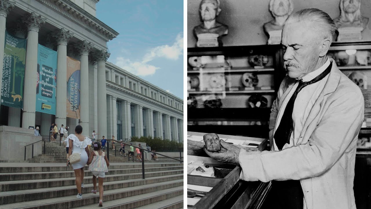 Revealing the Smithsonian’s ‘racial brain collection’