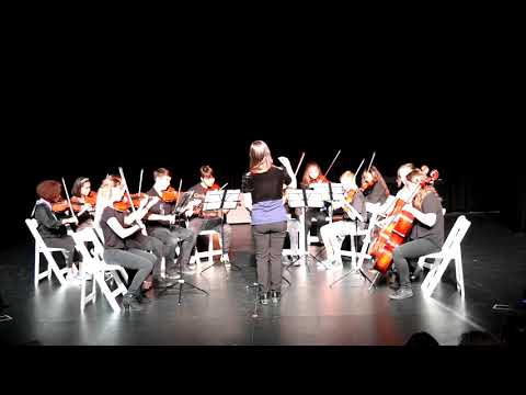 LMC String Orchestra - Brandenburg Concerto No. 4