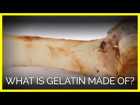 What Is Gelatin Made Of?