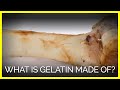 What Is Gelatin Made Of?