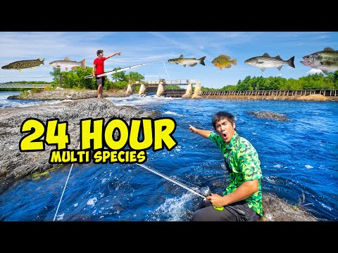 24 HOUR MULTI SPECIES 2v2 FISHING CHALLENGE! (MOST INCHES WINS)