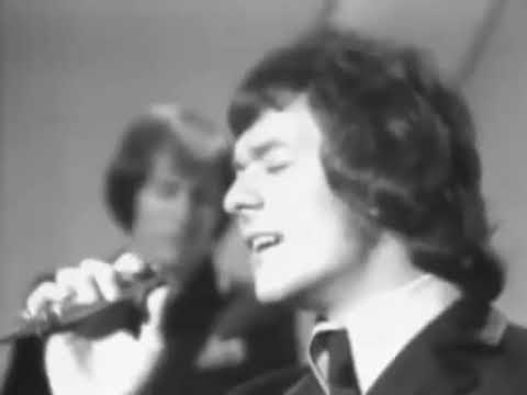 No es una carga es mi hermano The Hollies