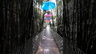 Download lagu Jembatan Payung Talaga Langit Cirebon mp3 Download lagu Jembatan Payung Talaga Langit Cirebon mp3