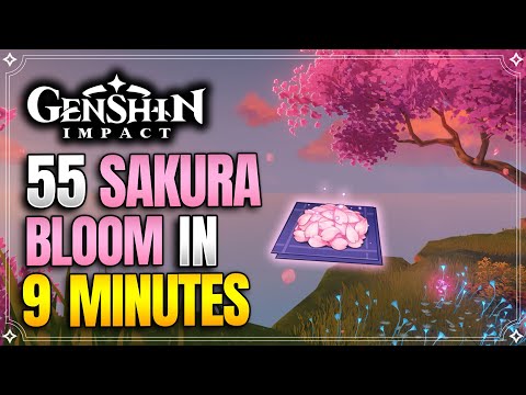 Sakura Bloom Locations | Fast and Efficient Route | Ayaka Ascension Materials |【Genshin Impact】