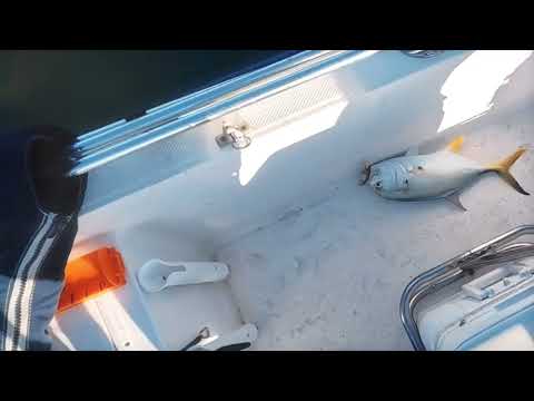 Trudave shoes outdoor test! Durability and comfort test