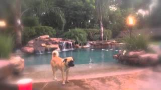 Johnny Rodriguez - Pass Me By - Cover