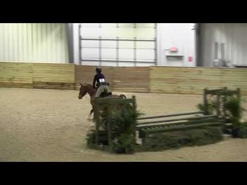 39 MARETTIMO SCF   91 $300 JUNIOR HANDY HUNTER 3'3 CALIFORNIA SPLIT,,, 1