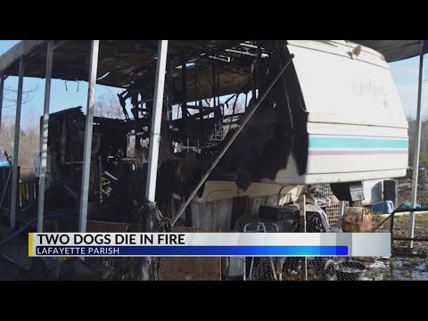 Two dogs killed in Lafayette Parish fire