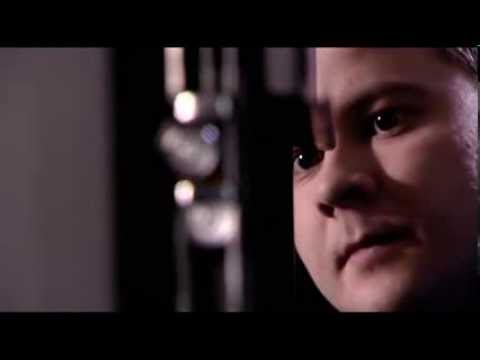 Spartherm, les foyers vitrés Linear